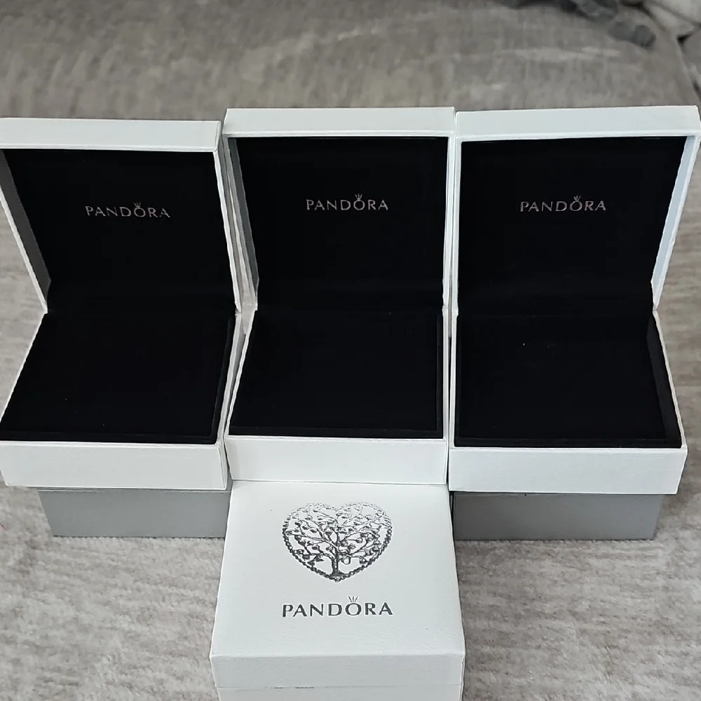 Pandora Silver and White Box Collection